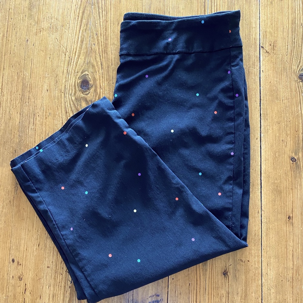 Counterparts Capris. Women’s size 16.